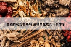 <b>��Ǯ�׻����ж���,��Ǯ�׻��߳�ʲô����</b>