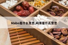 <b>Mabo��ʲô��˼,�뱡��ʲô��˼</b>