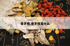 <b>��é��,��é����ʲô</b>