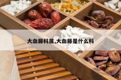 <b>��Ѫ�ٿ���,��Ѫ����ʲô��</b>