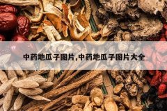 <b>��ҩ�ع���ͼƬ,��ҩ�ع���ͼƬ��ȫ</b>