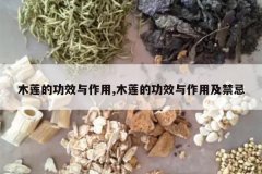 <b>ľ���Ĺ�Ч������,ľ���Ĺ�Ч�����ü�����</b>