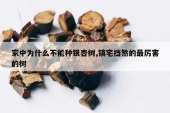 <b>����Ϊʲô������������,��լ��ɷ������������</b>