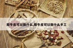 <b>ϬţƤ������ʲô,ϬţƤ������ʲô�ֹ�</b>