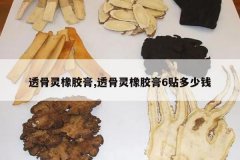 <b>͸�����𽺸�,͸�����𽺸�6������Ǯ</b>