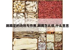 <b>����Ĺ�Ч������,������ô��,ʲô��˼</b>