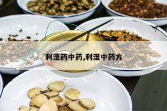<b>��ʪҩ��ҩ,��ʪ��ҩ��</b>