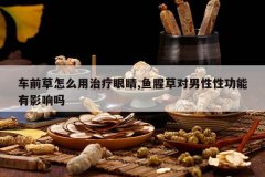 <b>��ǰ����ô�������۾�,���Ȳݶ������Թ�����Ӱ����</b>