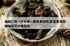 <b>���Ѵ���һֻ����һȺ�������,�����﷢�����ѻ�����˯����</b>