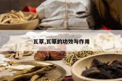 <b>�߲�,�߲ݵĹ�Ч������</b>