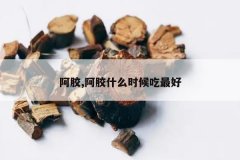 <b>����,����ʲôʱ������</b>