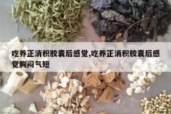 <b>�������������Һ�о�,�������������Һ�о���������</b>