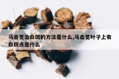 <b>�������ΰװߵķ�����ʲô,������Ҷ�����аװߵ���ʲô</b>