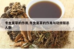 <b>�����Ĳݵ�����,�����Ĳݵ������빦Ч������Ⱥ</b>