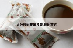 <b>��Ҷ����������Ƶ,��������</b>