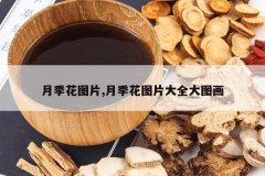 <b>�¼���ͼƬ,�¼���ͼƬ��ȫ��ͼ��</b>