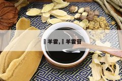 <b>�����,�������</b>