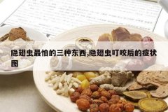 <b>��������µ����ֶ���,����涣ҧ���֢״ͼ</b>