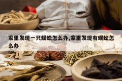 <b>���﷢��һֻ�����ô��,���﷢���������ô��</b>