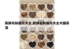 <b>����ʯ��ͼƬ��ȫ,����ʯ��ͼƬ��ȫ��ͼ����</b>