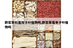 <b>�����ݿ���˫��Ҷֲ����,�������ǵ���Ҷֲ����</b>