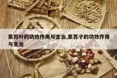 <b>����Ҷ�Ĺ�Ч����������,�����ӵĹ�Ч����������</b>