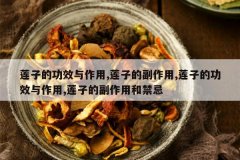 <b>���ӵĹ�Ч������,���ӵĸ�����,���ӵĹ�Ч������,���ӵĸ�����</b>