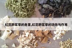 <b>�컨�����ݵ�Σ��,�컨�����ݵĹ�Ч������</b>