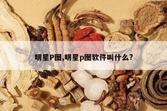 <b>����Pͼ,����pͼ������ʲô?</b>