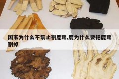 <b>����Ϊʲô����ֹ��¹��,¹ΪʲôҪ��¹�׸��</b>