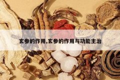 <b>���ε�����,���ε������빦������</b>