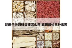 <b>�ߴ����θ�����֢��ô��,ù���������ֶ���</b>